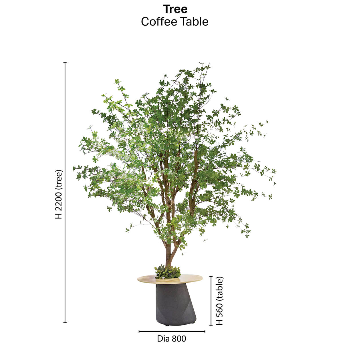Tree Coffee Table